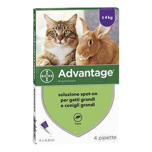 ADVANTAGE*4PIP 0,8ML SPOTON