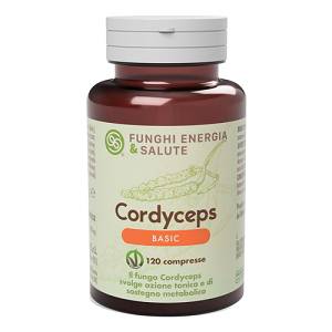 CORDYCEPS LINEA BASIC 120CPR