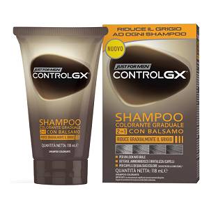JUST FOR MEN CONTROL GX SH2IN1